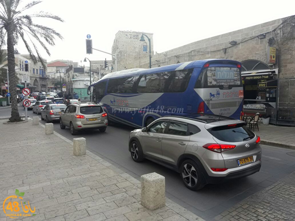 iktedad sokanayafa (12).jpg